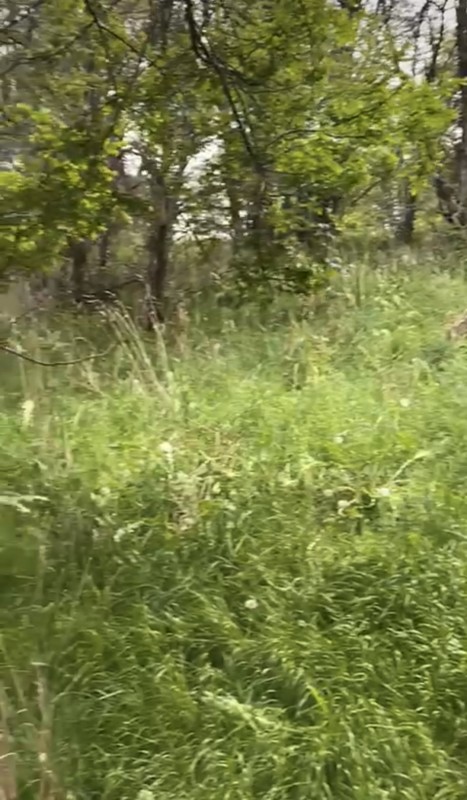 Parcela Sector el Claro - Coyhaique