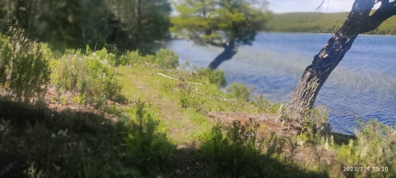 Foto 10