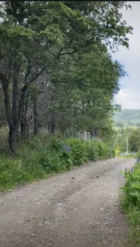 Parcela Sector el Claro - Coyhaique