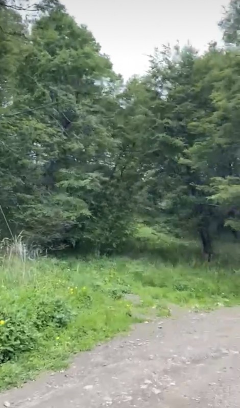 Parcela Sector el Claro - Coyhaique