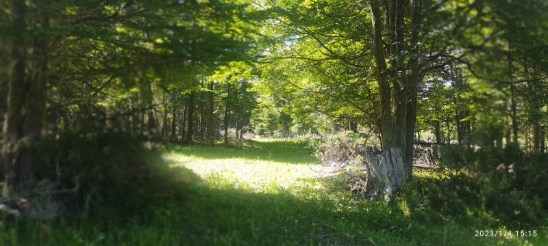 Foto 8