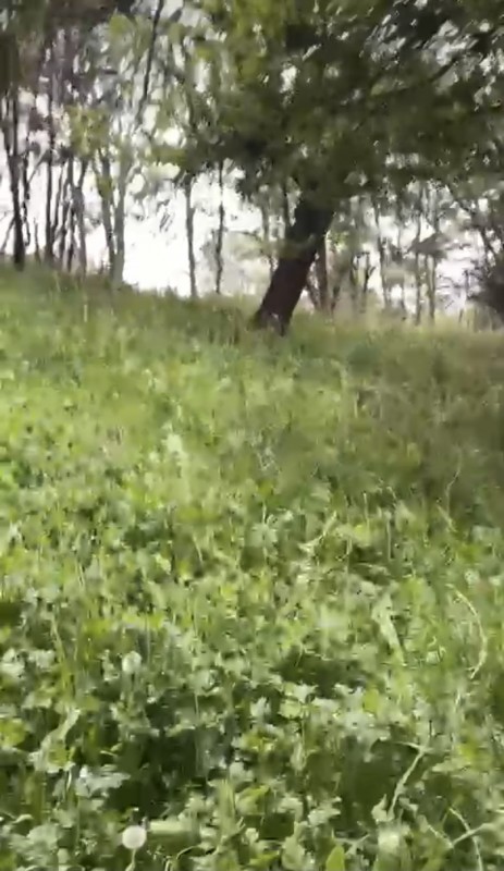 Parcela Sector el Claro - Coyhaique