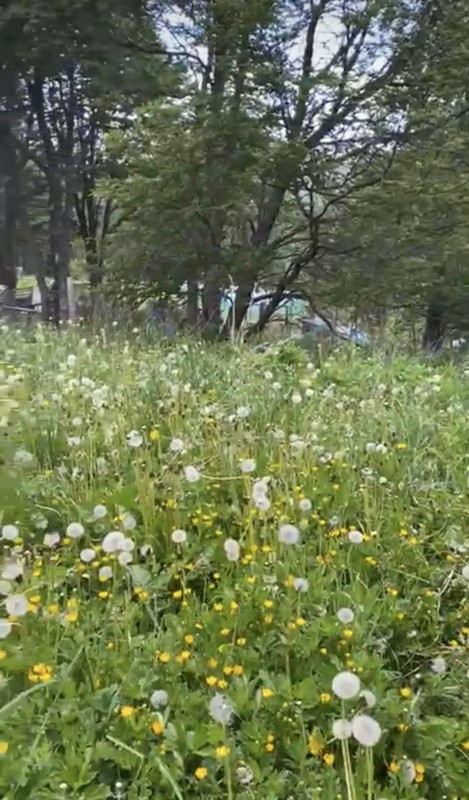 Parcela Sector el Claro - Coyhaique