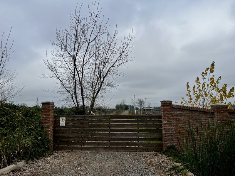 Venta Parcela/teno/quelmén