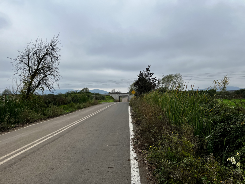 Venta Parcela/teno/quelmén