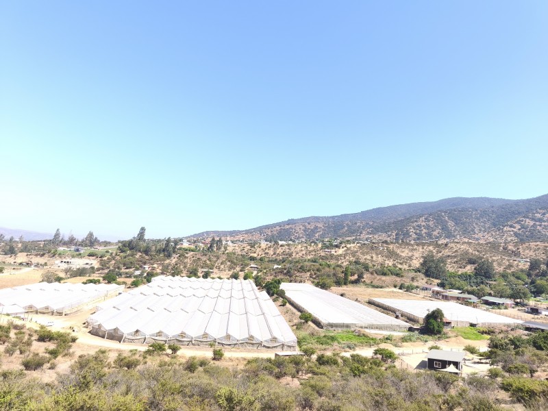 Vende Terreno la Paloma Limache