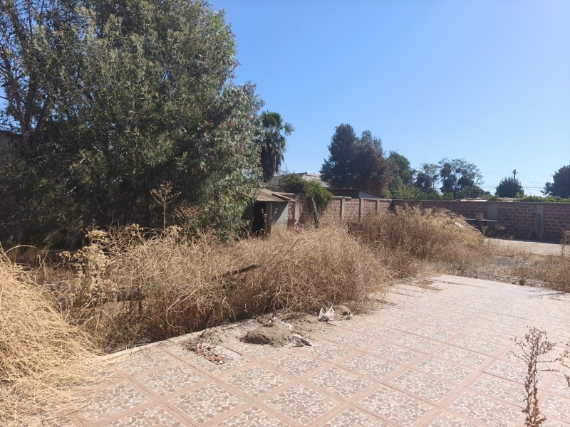 Vende Terreno Comercial