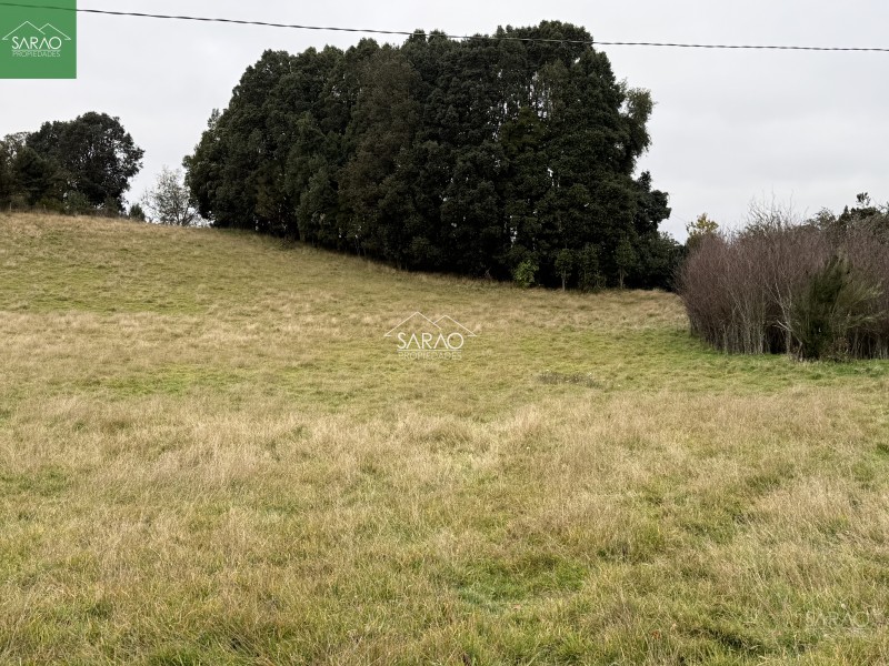 Hermoso Campo de 5,13 Hás, Con Amplia Casa los Muermos