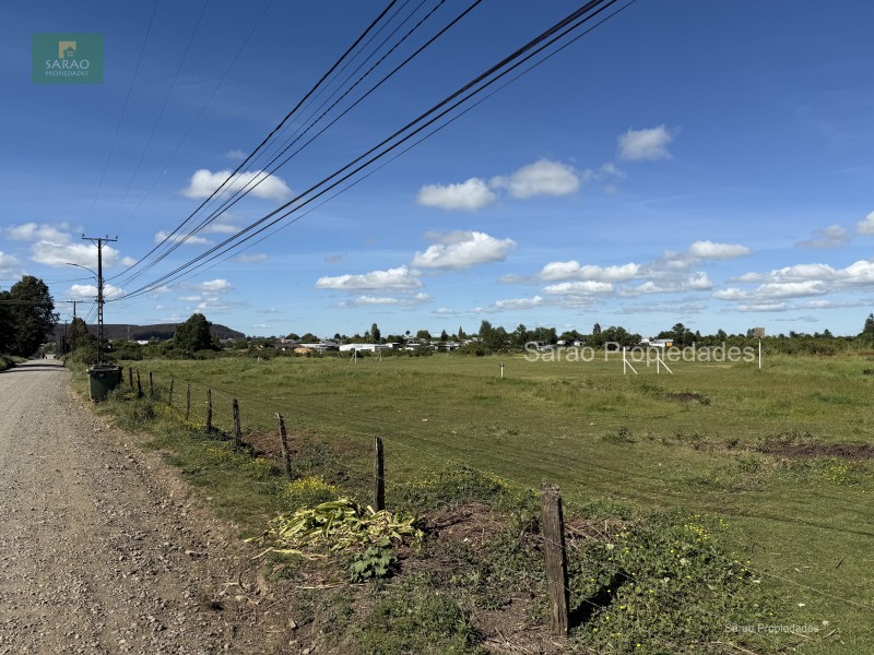 🟩 Venta Parcela – Fresia - Oportunidad Unica de Inversión