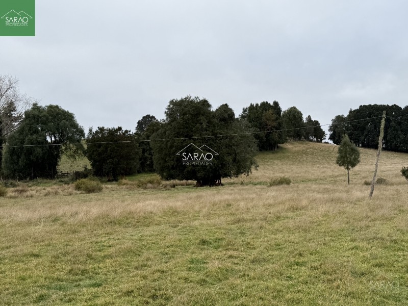 Hermoso Campo de 5,13 Hás, Con Amplia Casa los Muermos