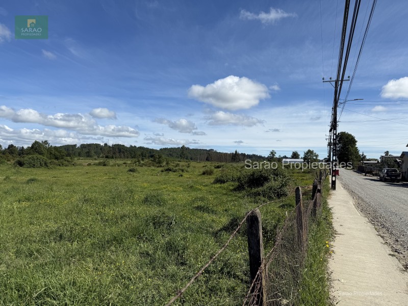 🟩 Venta Parcela – Fresia - Oportunidad Unica de Inversión