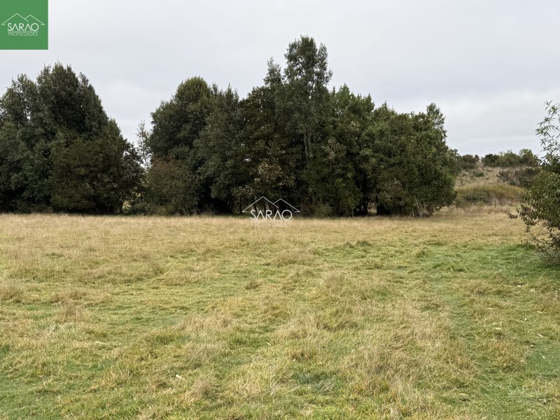 Hermoso Campo de 5,13 Hás, Con Amplia Casa los Muermos