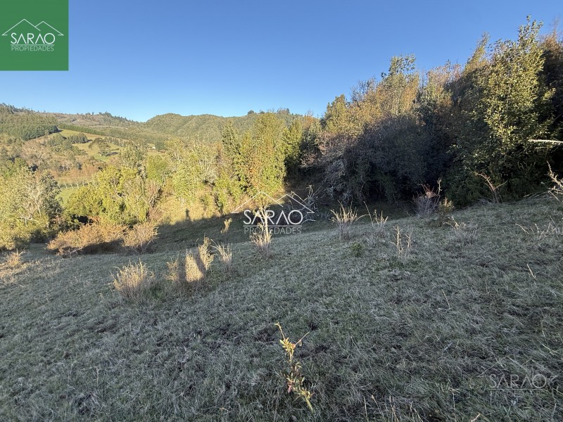 Venta Parcelas de 5.000 M² en Sector Río Blanco – Fresia
