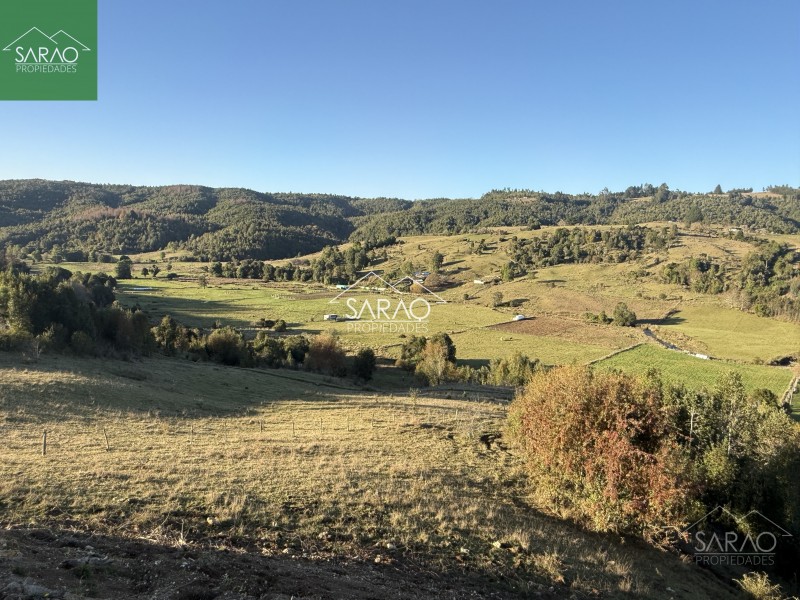 Venta Parcelas de 5.000 M² en Sector Río Blanco – Fresia