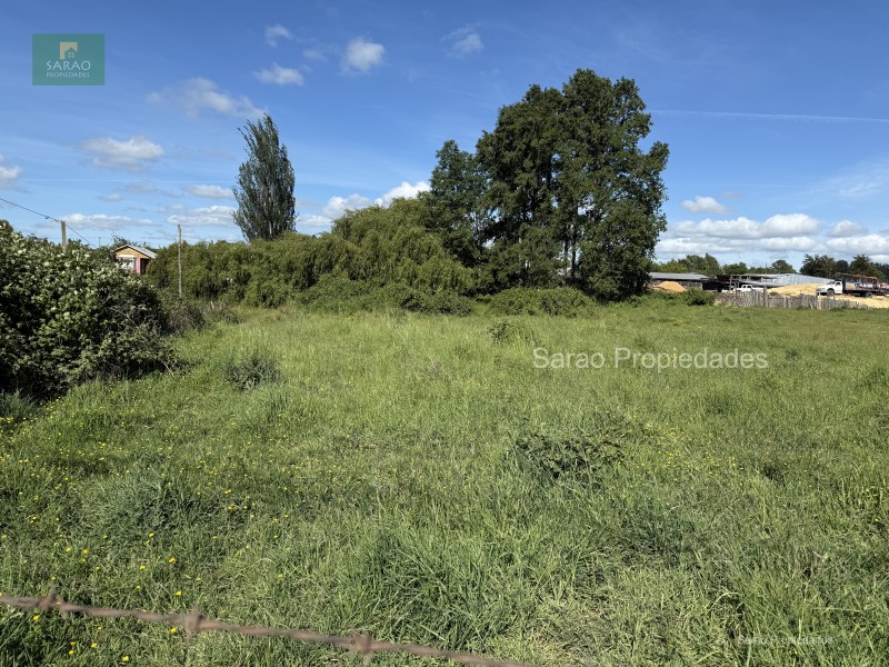 🟩 Venta Parcela – Fresia - Oportunidad Unica de Inversión