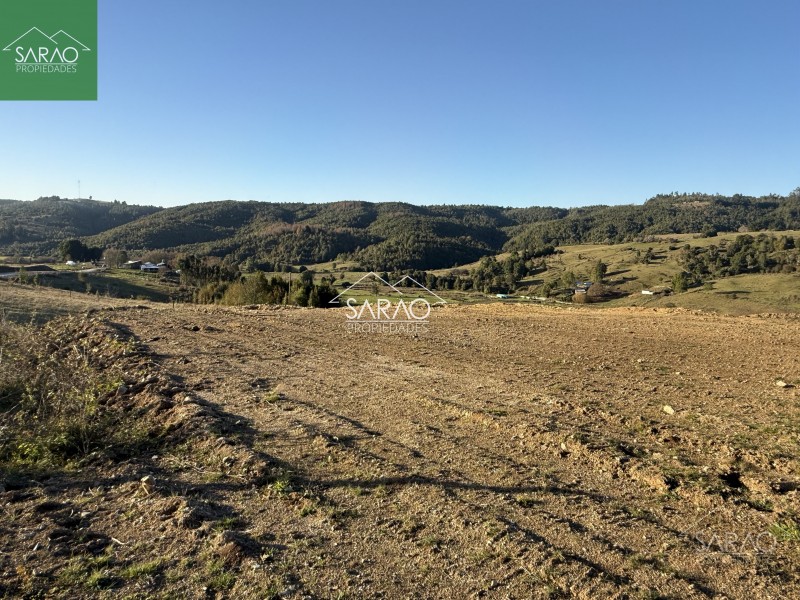 Venta Parcelas de 5.000 M² en Sector Río Blanco – Fresia