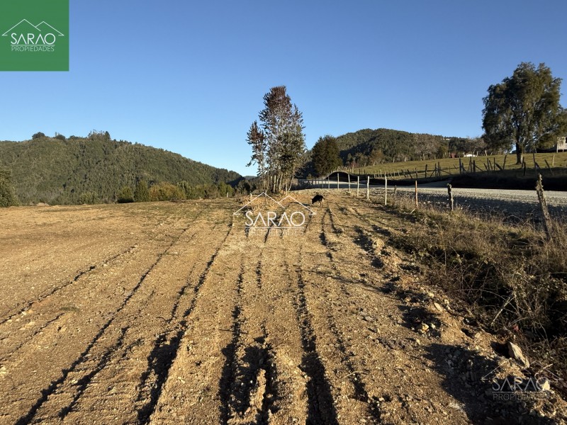 Venta Parcelas de 5.000 M² en Sector Río Blanco – Fresia
