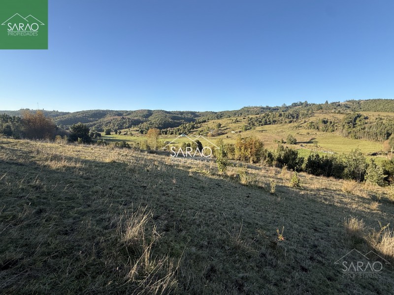 Venta Parcelas de 5.000 M² en Sector Río Blanco – Fresia