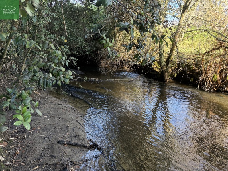 Parcela de 2 Hectáreas Con Orilla de Río el Pato Fresia