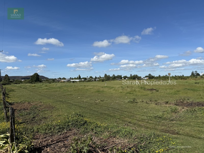 🟩 Venta Parcela – Fresia - Oportunidad Unica de Inversión