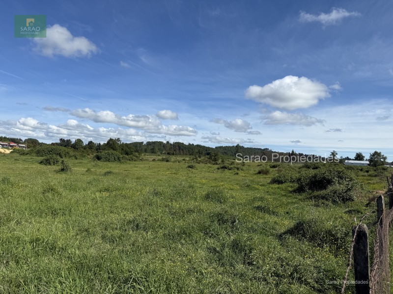 🟩 Venta Parcela – Fresia - Oportunidad Unica de Inversión