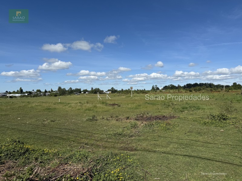 🟩 Venta Parcela – Fresia - Oportunidad Unica de Inversión