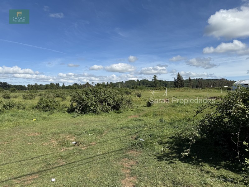 🟩 Venta Parcela – Fresia - Oportunidad Unica de Inversión