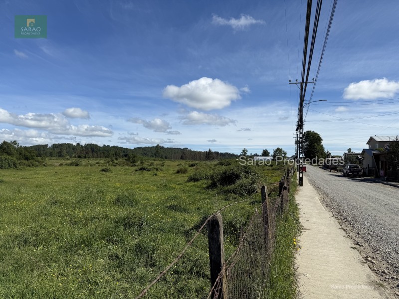 🟩 Venta Parcela – Fresia - Oportunidad Unica de Inversión