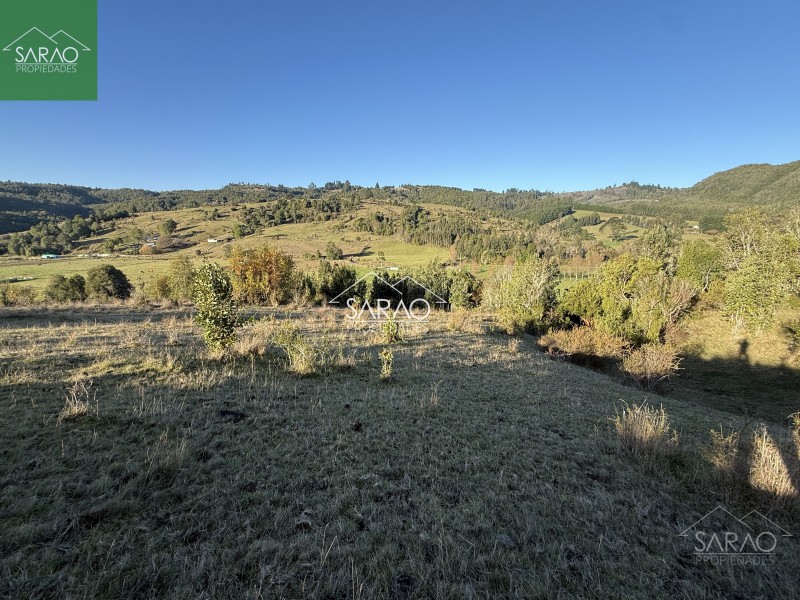 Fotografía de Venta Parcelas de 5.000 M² en Sector Río Blanco – Fresia