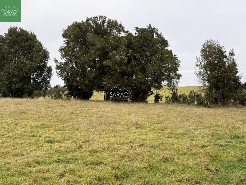 Hermoso Campo de 5,13 Hás, Con Amplia Casa los Muermos