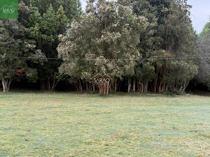 Hermoso Campo de 5,13 Hás, Con Amplia Casa los Muermos