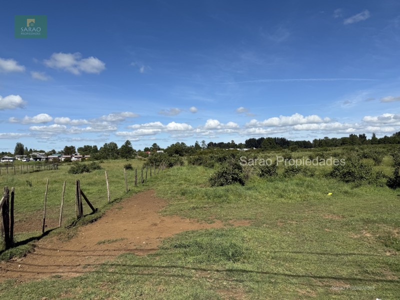 🟩 Venta Parcela – Fresia - Oportunidad Unica de Inversión