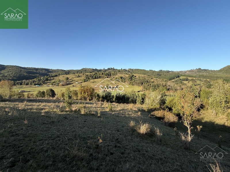 Venta Parcelas de 5.000 M² en Sector Río Blanco – Fresia