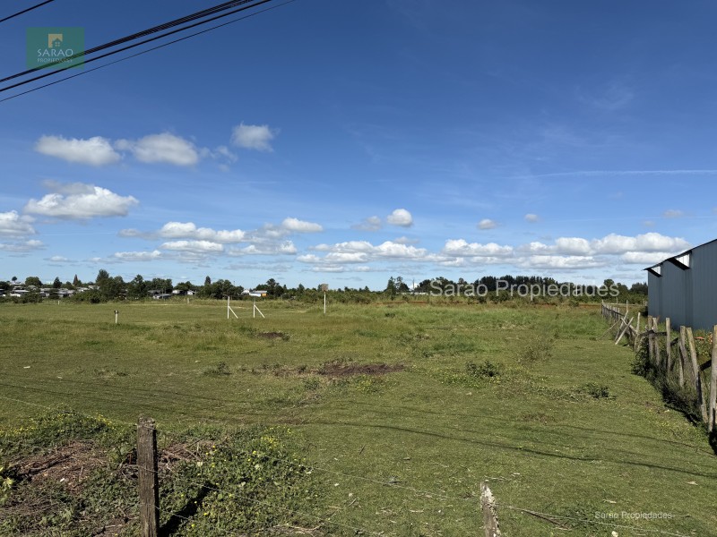 🟩 Venta Parcela – Fresia - Oportunidad Unica de Inversión