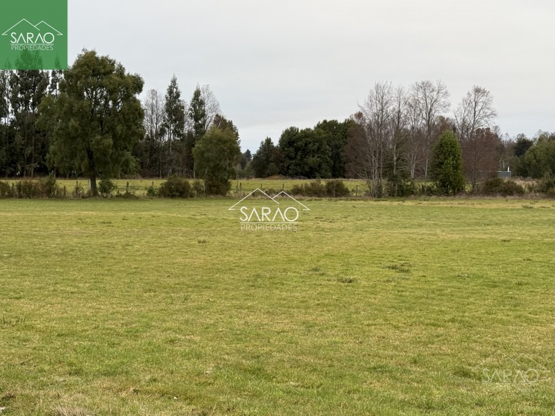 Venta Parcela 5.000 M² en Exclusiva Parcelación en Fresia