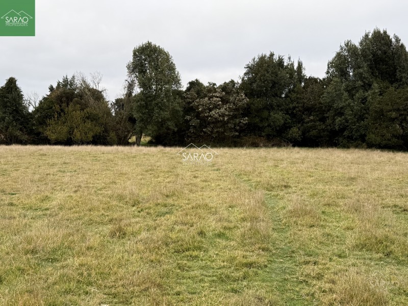 Hermoso Campo de 5,13 Hás, Con Amplia Casa los Muermos