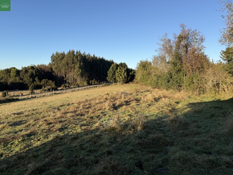 Casa Nueva en Parcela de 5.000 M² Sector las Cuyas, Fresia