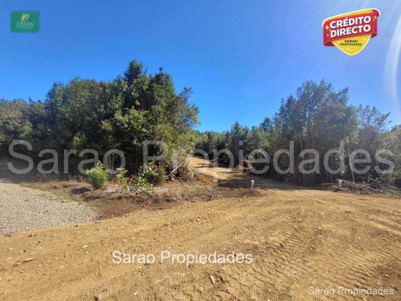 Parcelas en Fresia, Sector el Pato de Llico Credito Directo