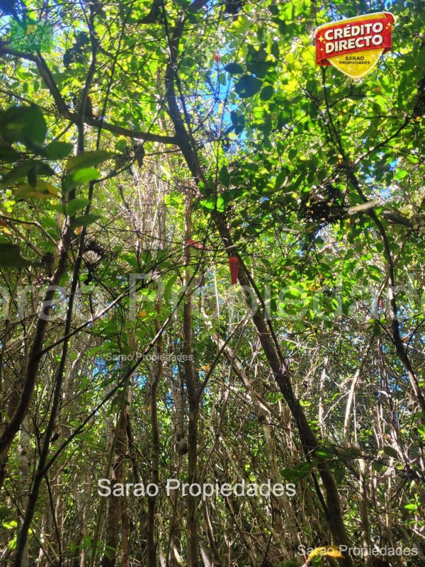 Parcelas en Fresia, Sector el Pato de Llico Credito Directo