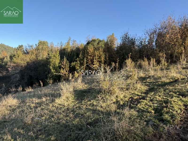 Venta Parcelas de 5.000 M² en Sector Río Blanco – Fresia