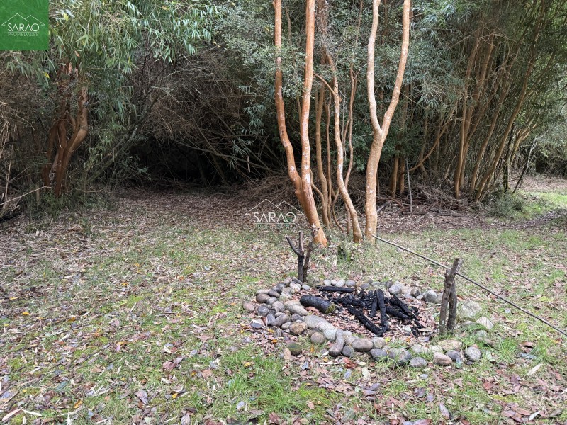 Hermoso Campo de 5,13 Hás, Con Amplia Casa los Muermos