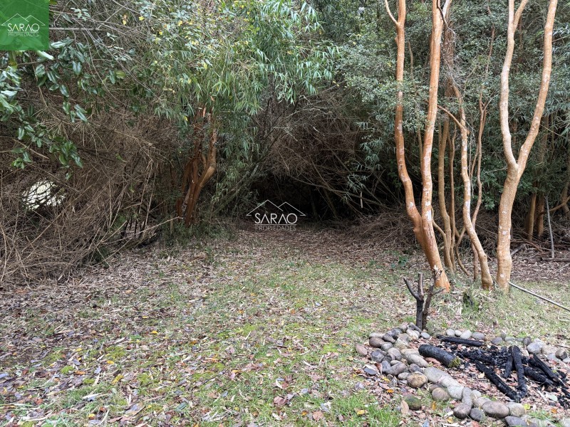 Hermoso Campo de 5,13 Hás, Con Amplia Casa los Muermos