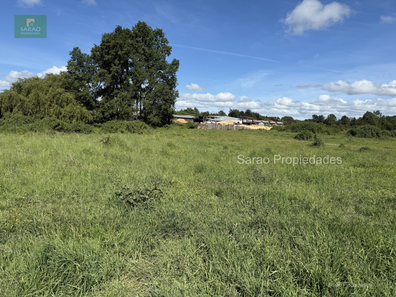 🟩 Venta Parcela – Fresia - Oportunidad Unica de Inversión