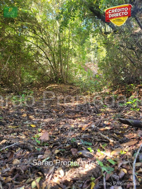 Parcelas en Fresia, Sector el Pato de Llico Credito Directo