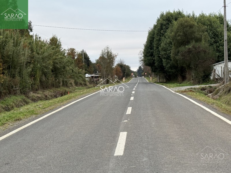 Venta Parcela 5.000 M² en Exclusiva Parcelación en Fresia