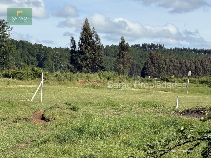 🟩 Venta Parcela – Fresia - Oportunidad Unica de Inversión