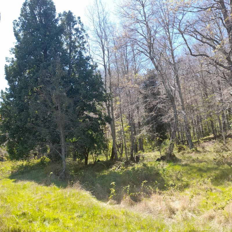 Hermosa Parcela Terreno Chileno en Sector Menetue , Pucón