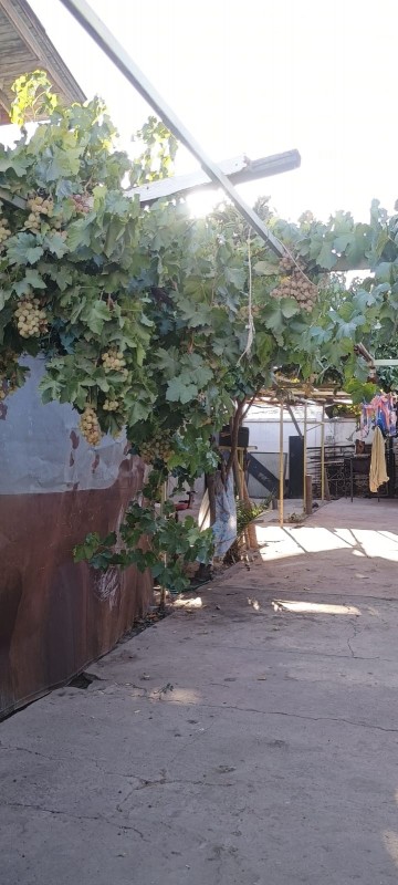 Se Vende Casa Con Buen Terreno!!!