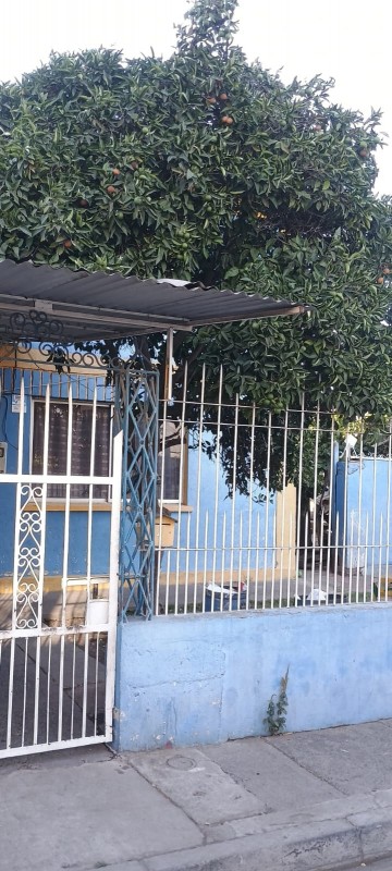 Se Vende Casa Con Buen Terreno!!!