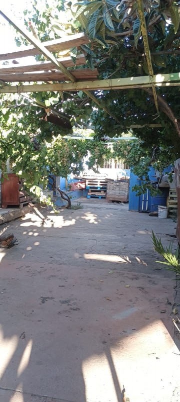 Se Vende Casa Con Buen Terreno!!!